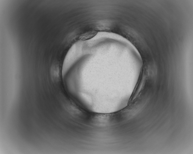 X0000110860084200907161405