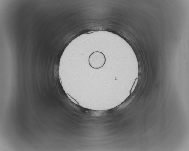 X0000110860096200907161405