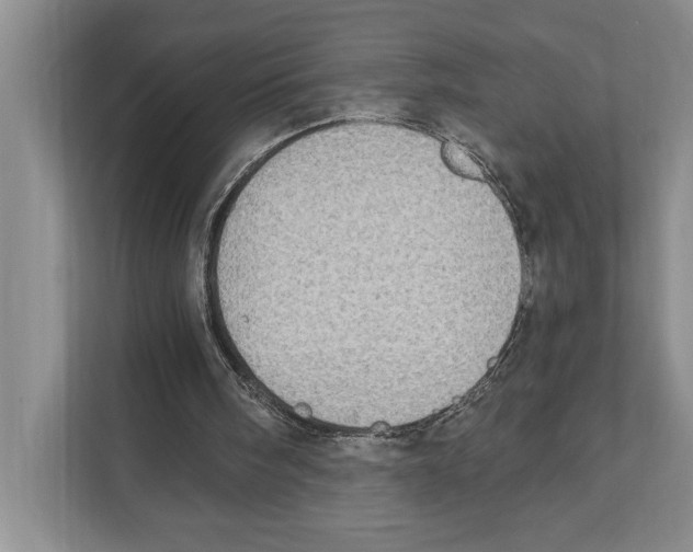 X0000110860098200907161405