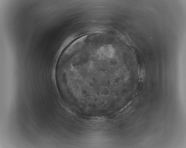 X0000110860099200907161405
