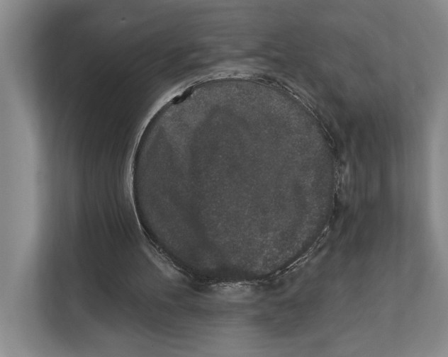 X0000110860100200907161405