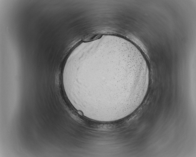 X0000110860105200907161405