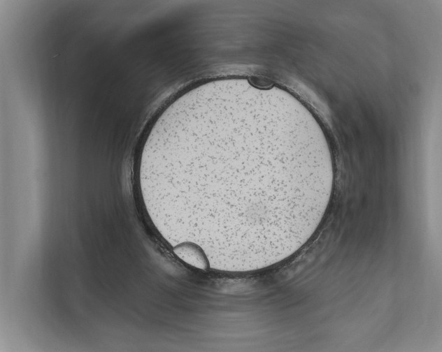 X0000110860107200907161405