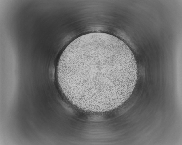 X0000110860110200907161405