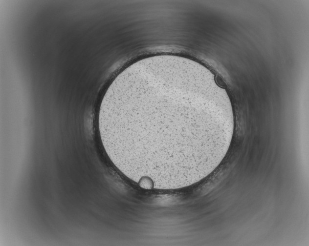 X0000110860111200907161405