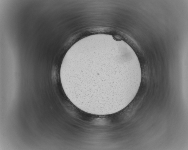 X0000110860119200907161404