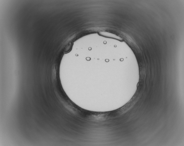 X0000110860120200907161404