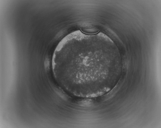X0000110860124200907161404