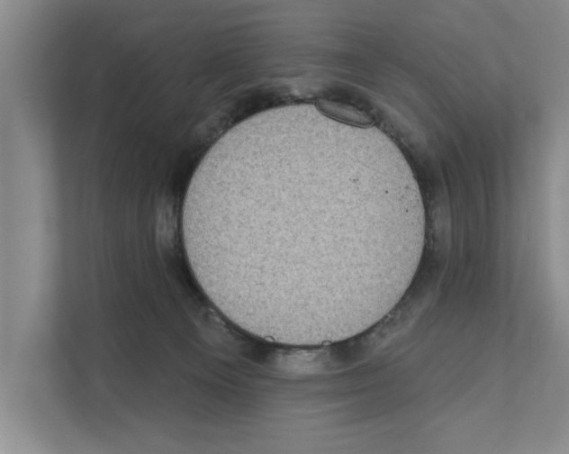 X0000110860129200907161404