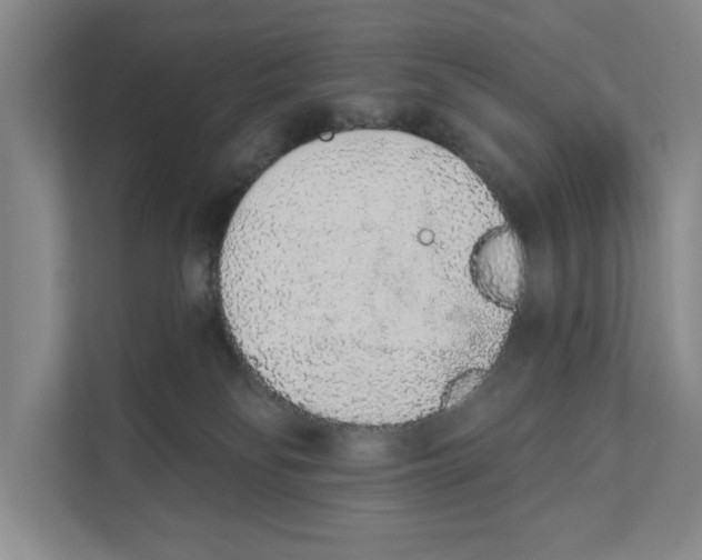X0000110860134200907161404