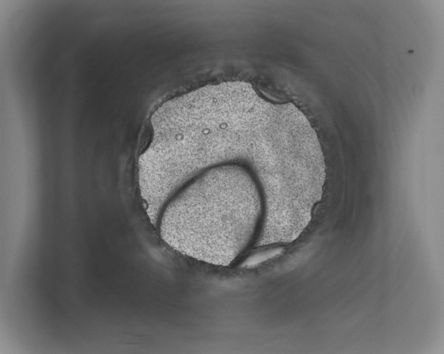 X0000110860144200907161404