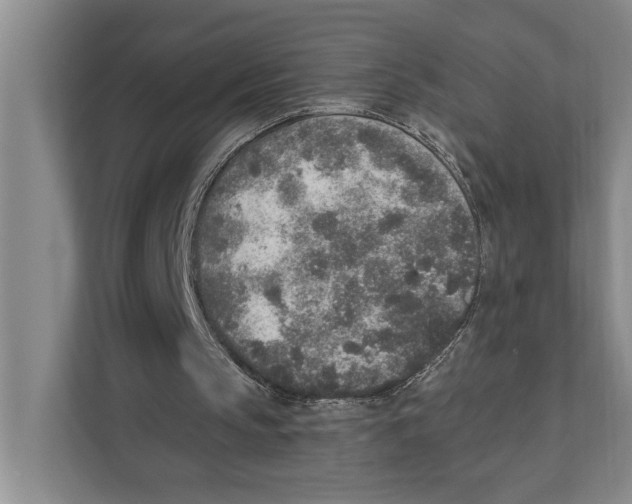 X0000110860145200907161403