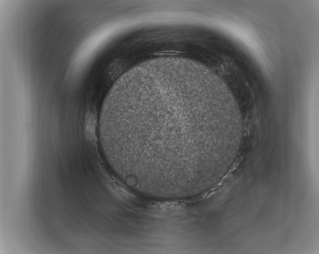 X0000110860146200907161403