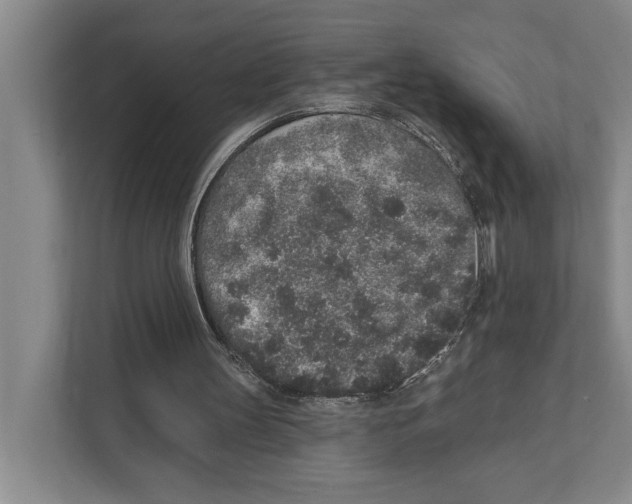 X0000110860147200907161403