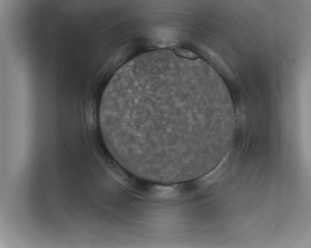 X0000110860170200907161404
