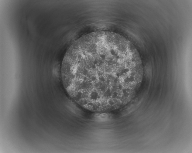 X0000110860181200907161404