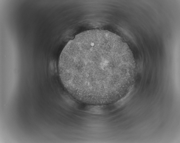 X0000110860182200907161404