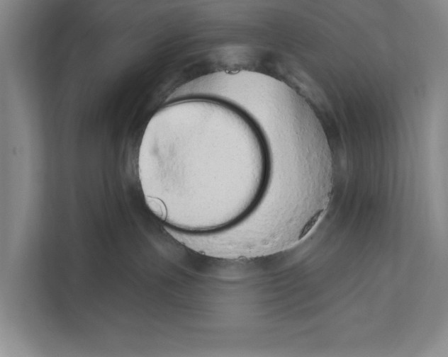 X0000110860191200907161404