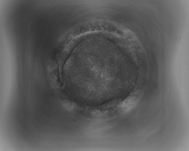 X0000110860192200907161404