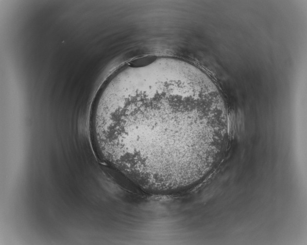 X0000110860195200907161403