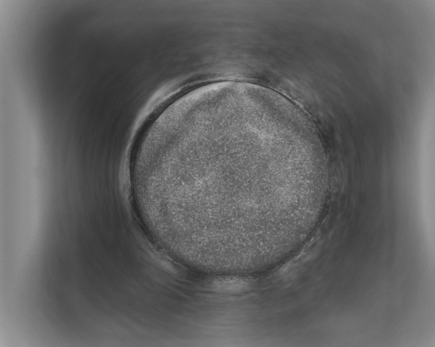 X0000110860198200907161403