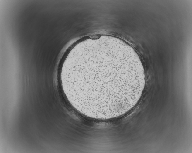 X0000110860200200907161403