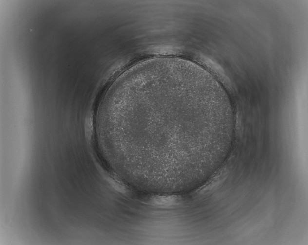 X0000110860202200907161403
