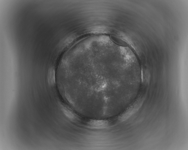 X0000110860205200907161403
