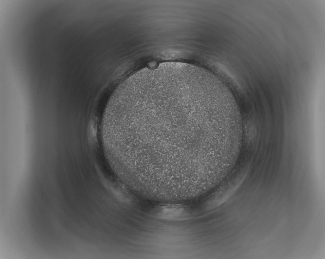 X0000110860214200907161403