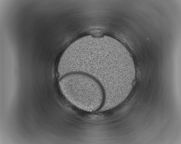 X0000110860215200907161403