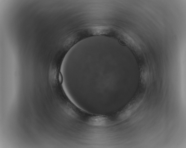 X0000110860219200907161403