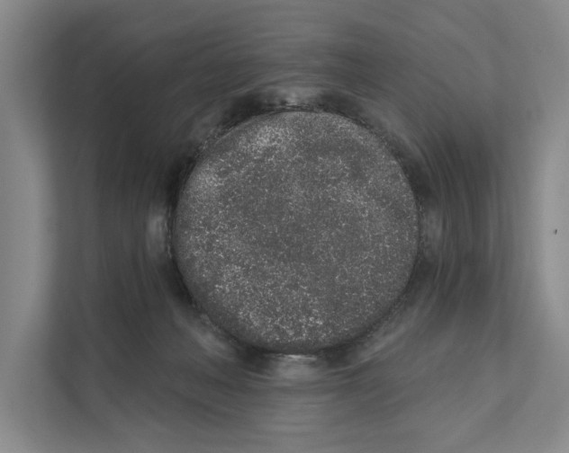 X0000110860222200907161403