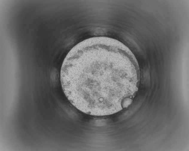 X0000110860228200907161403