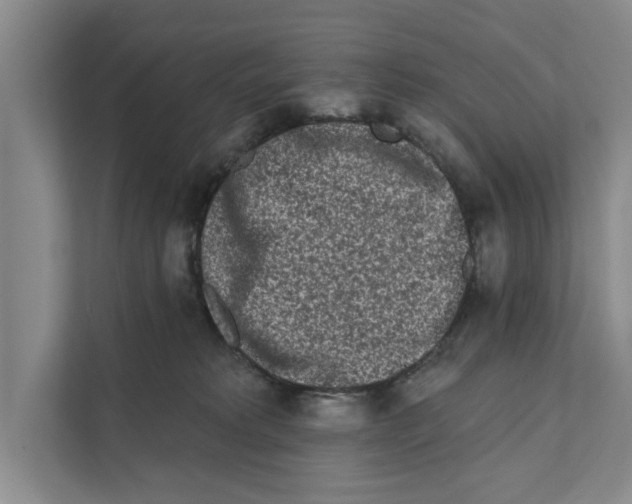 X0000110860229200907161403