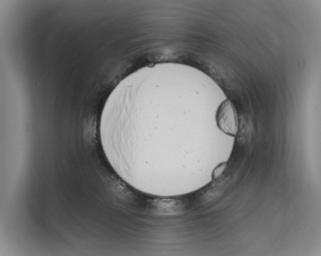 X0000110860230200907161403