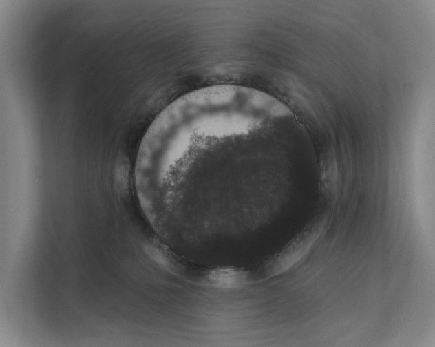 X0000110860231200907161403
