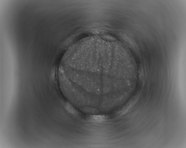 X0000110860233200907161403