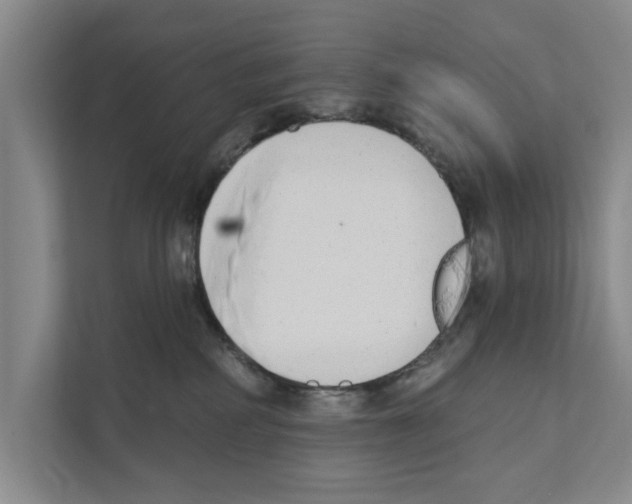 X0000110860234200907161403