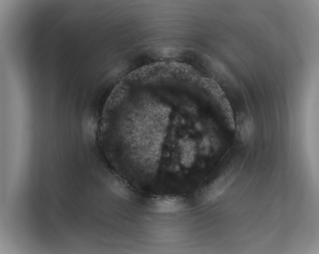 X0000110860235200907161403