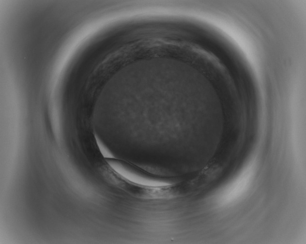 X0000110860239200907161403