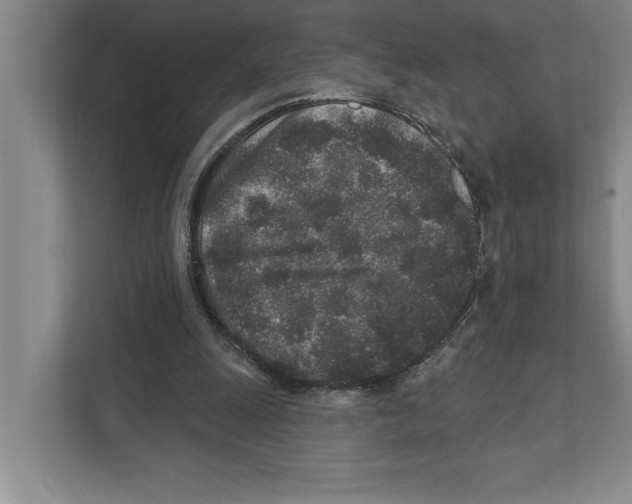 X0000110860247200907161402
