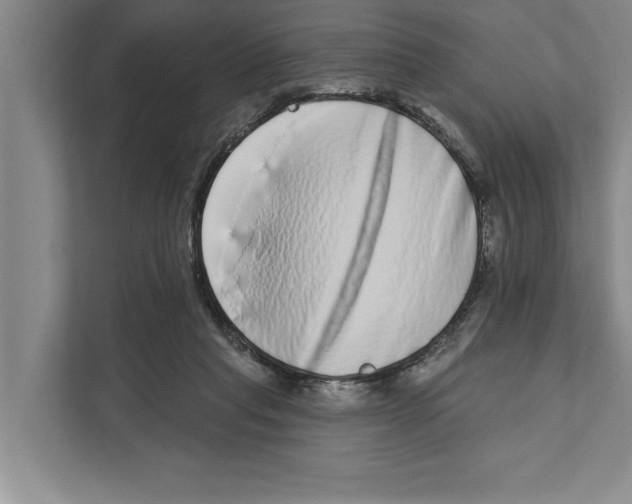X0000110860261200907161402
