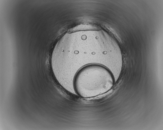 X0000110860265200907161402