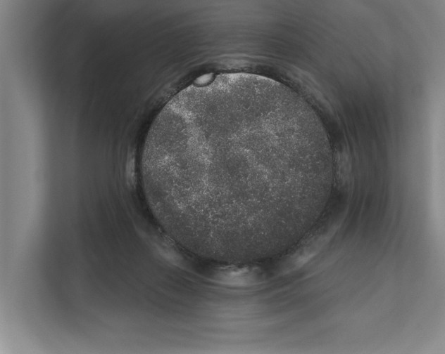 X0000110860267200907161403