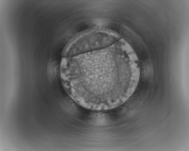 X0000110860276200907161403