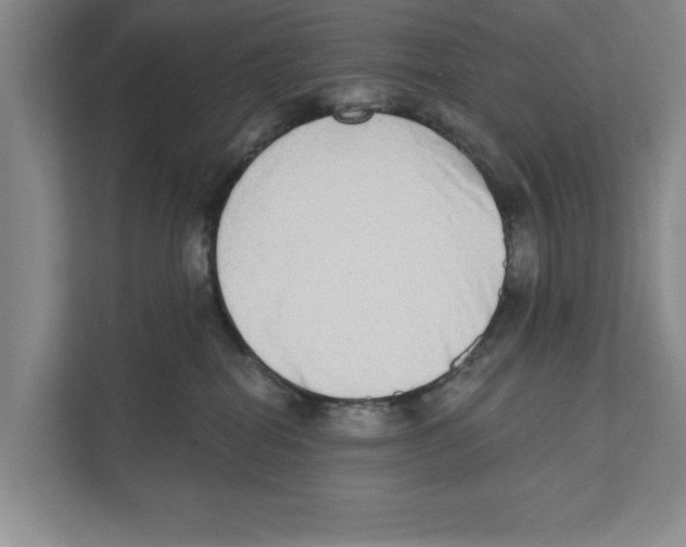 X0000110860282200907161403