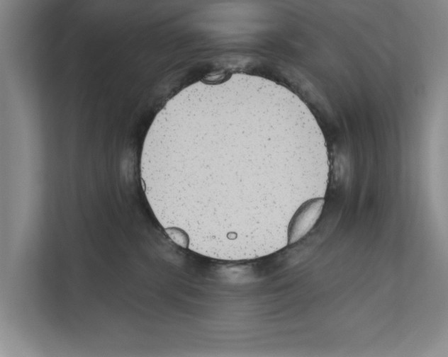 X0000110860283200907161403