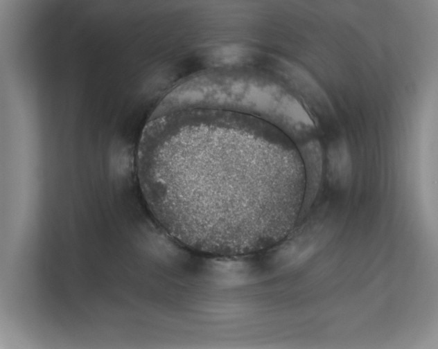 X0000110860284200907161403