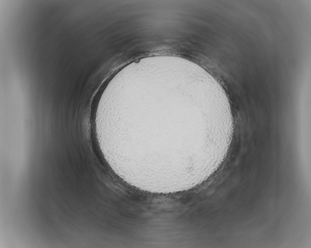 X0000110860290200907161402