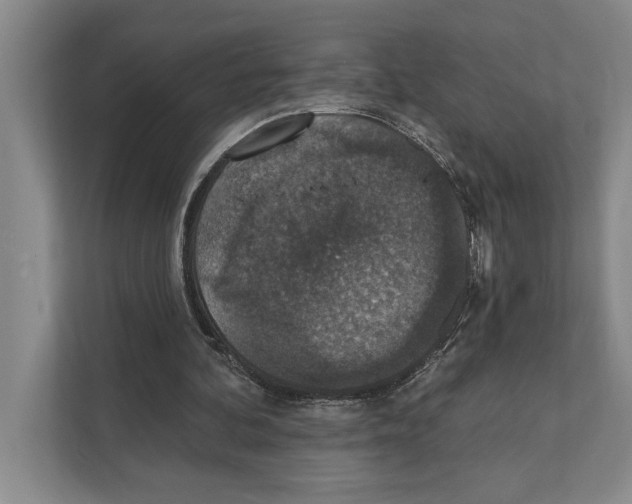 X0000110860292200907161402